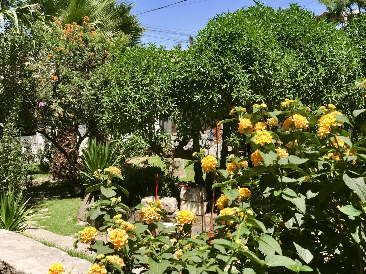 Grace Valley Hotel Arequipa Exterior photo