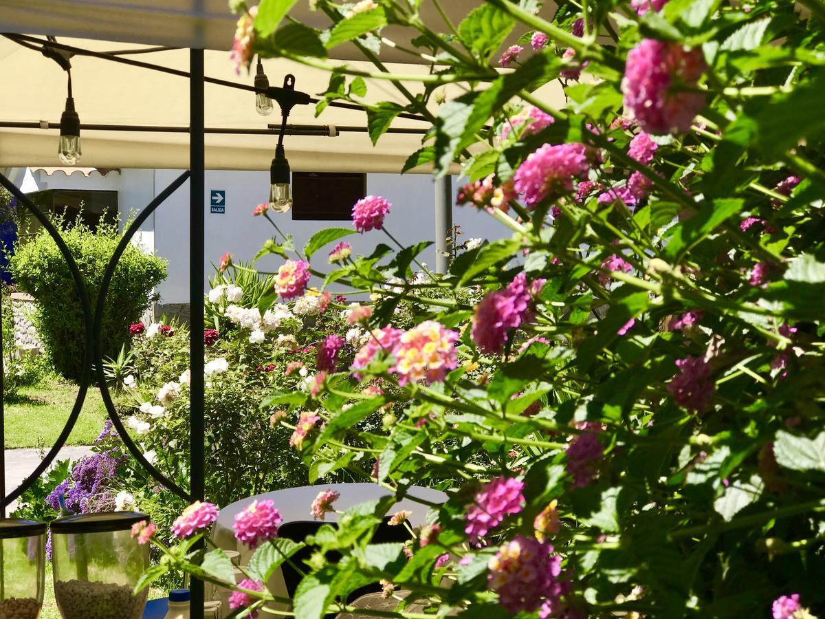 Grace Valley Hotel Arequipa Exterior photo