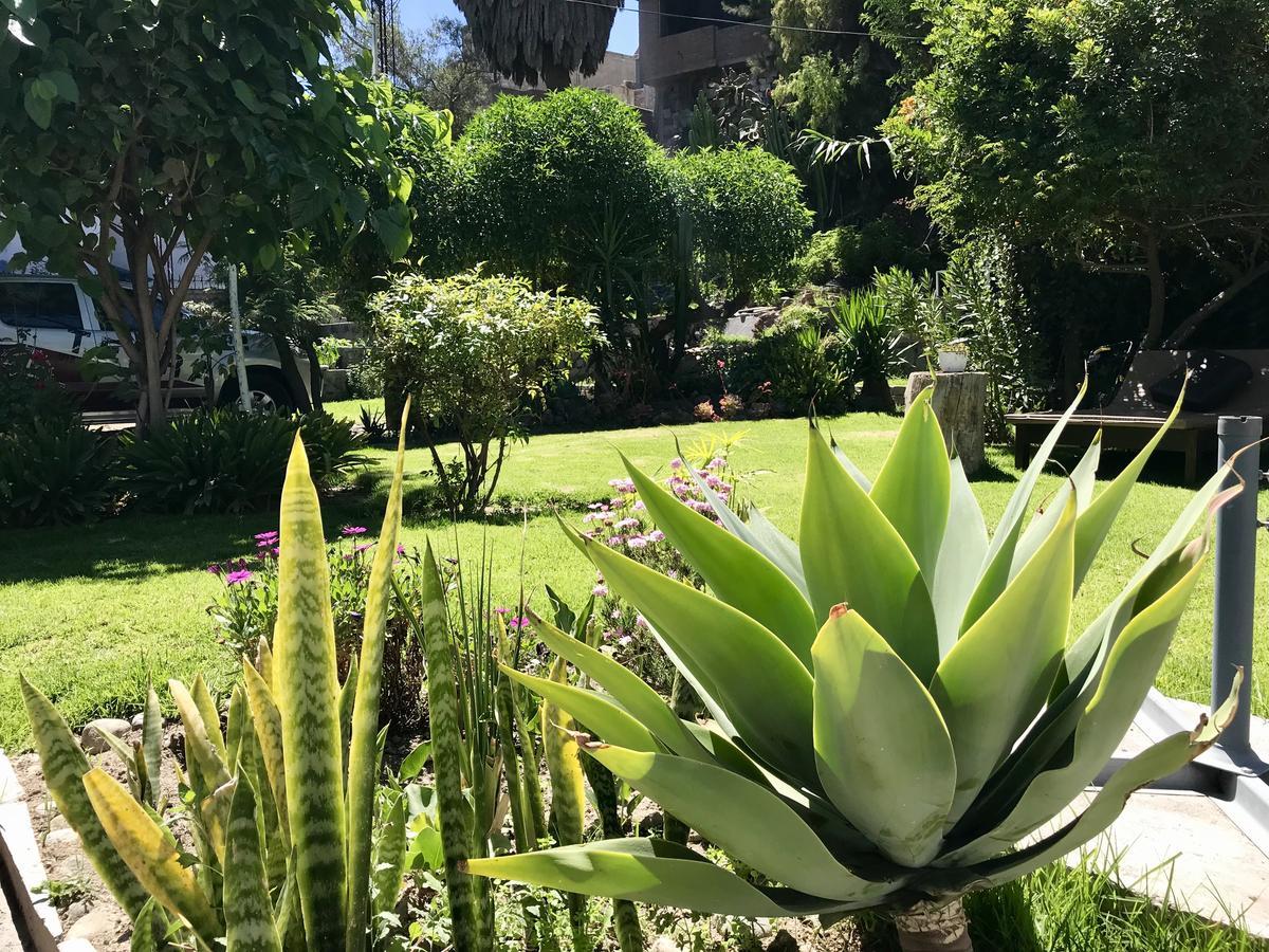 Grace Valley Hotel Arequipa Exterior photo
